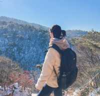 겨울에만 볼수있는 풍경! 녹기전에 가보세요 사패산 원각폭포❄️