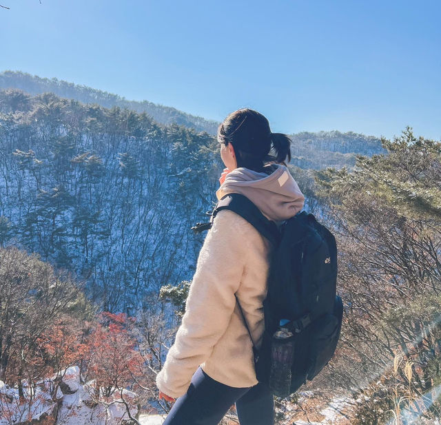 겨울에만 볼수있는 풍경! 녹기전에 가보세요 사패산 원각폭포❄️