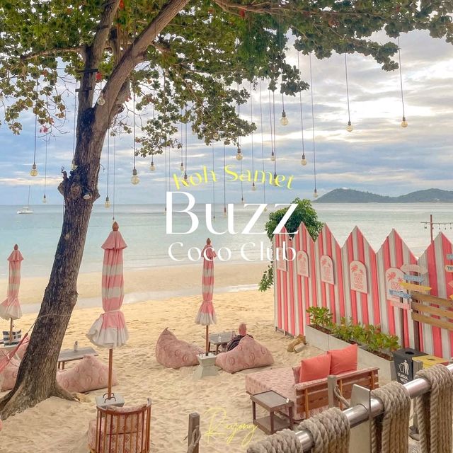 Buzz Coco Club