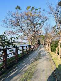 ［桃園旅遊］桃園埤塘1-16號池💧桃園小秘境