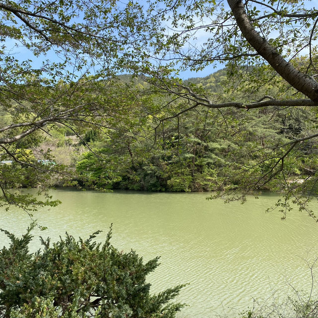 힐링이 필요할 땐 통영 ‘산유골 수목공원’ 🌳✨