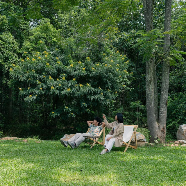 Ile Cafe & Camping Khaoyai🏕️🌿🛖