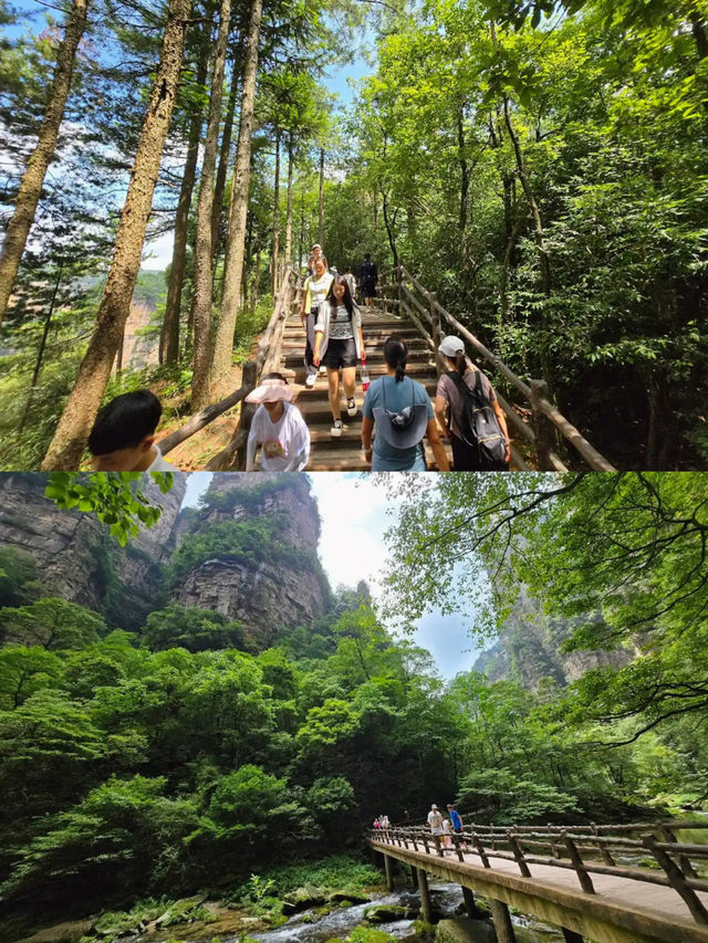 Zhangjiajie National Forest Park 