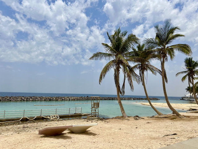 Peaceful Strolls by the Jeddah Coastline🌴