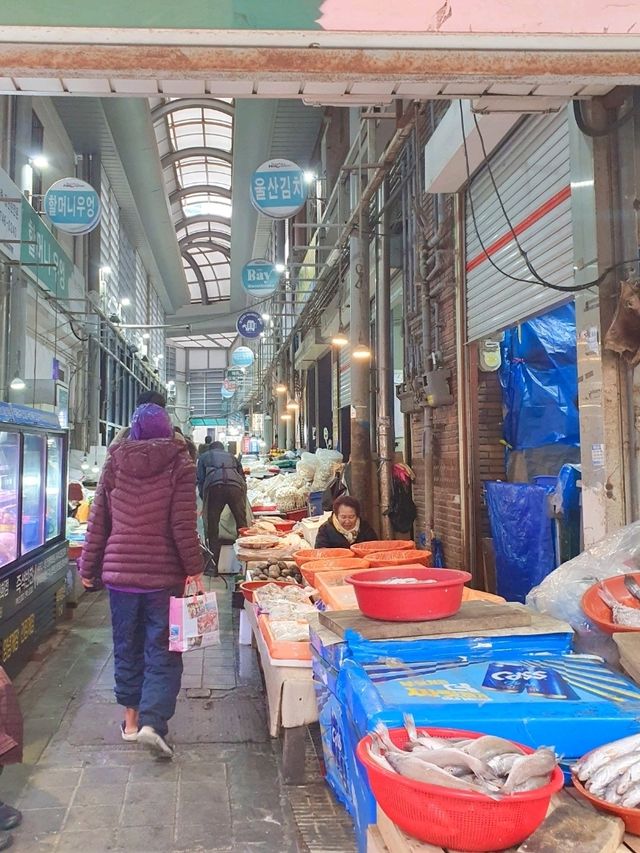 맛과 정이 가득한 해운대시장에서 먹거리 여행🛍️🍢