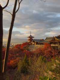 Sunset at Kiyomizudera: A Dreamy Autumn Experience in Kyoto