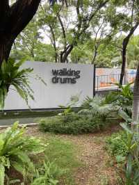 Savor the Vibes at Walking Drums