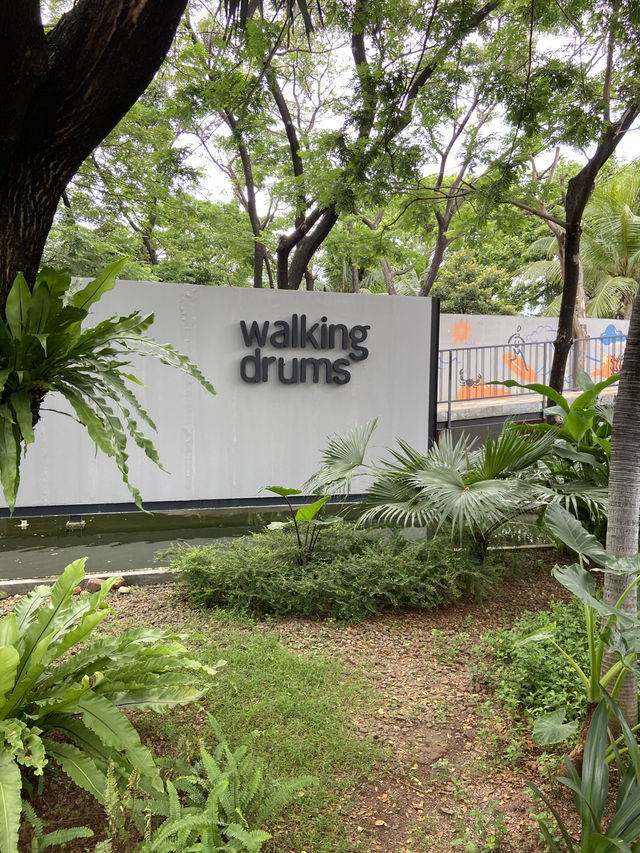 Savor the Vibes at Walking Drums