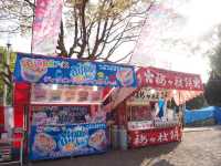 長崎市賞櫻勝地🌸立山公園+ 櫻花祭典
