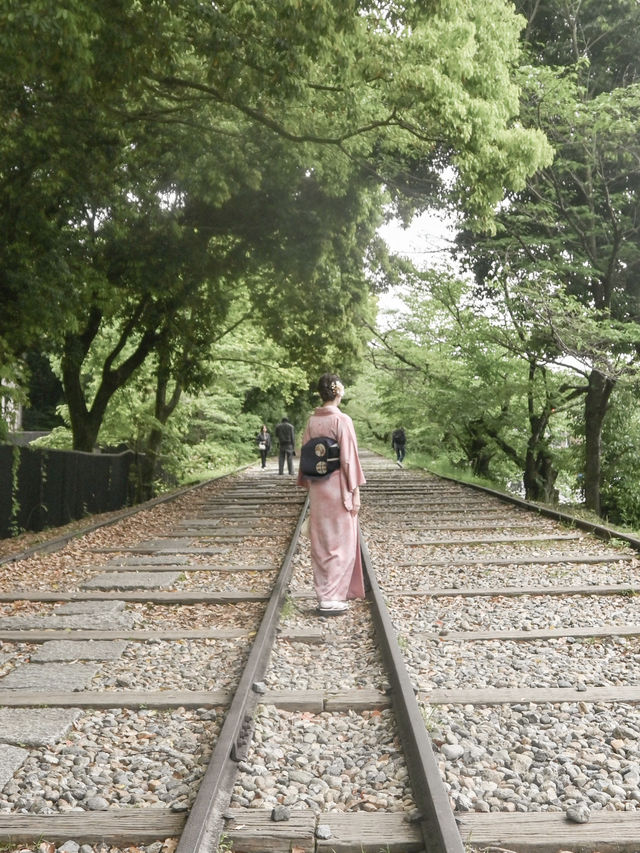 【京都】着物を着て京都を歩こう👘