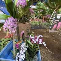 งานมีจฉาบานตำนานเขาสมิงครั้งที่4