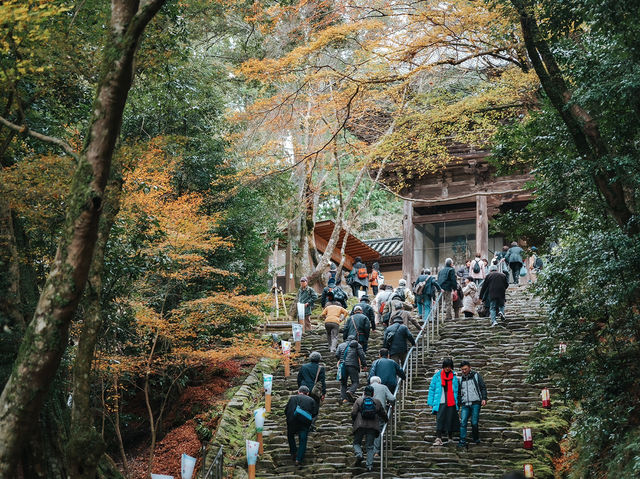  Jingo-ji 