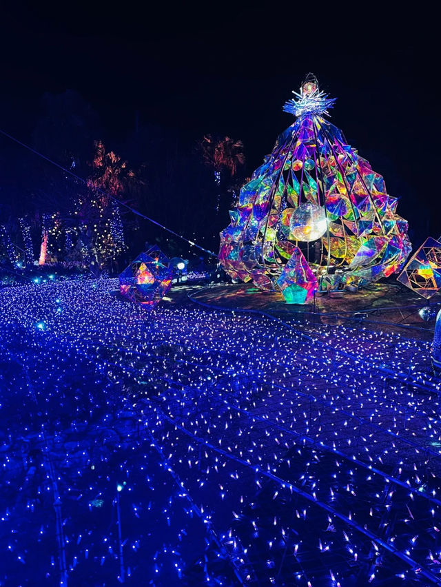 【江ノ島】関東三大イルミネーションが凄すぎた‼️