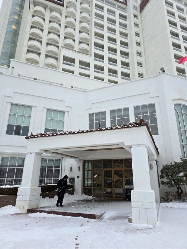 겨울에 꼭 가야할 겨울왕국 평창 호텔🤍