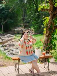 หลงเขา คาเฟ่ น่าน 