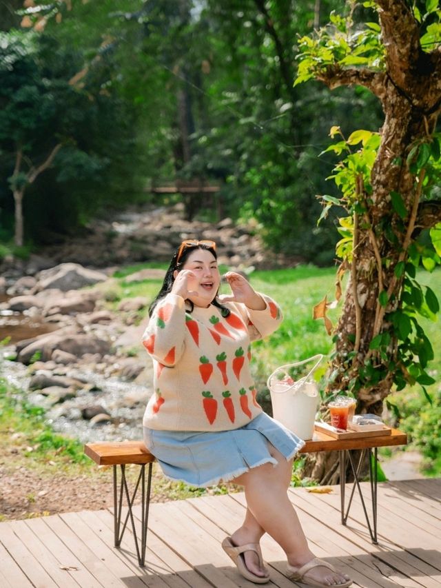 หลงเขา คาเฟ่ น่าน 