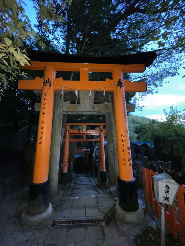 🇯🇵 Kyoto’s Beauty: Rising Sun Above the Crowds