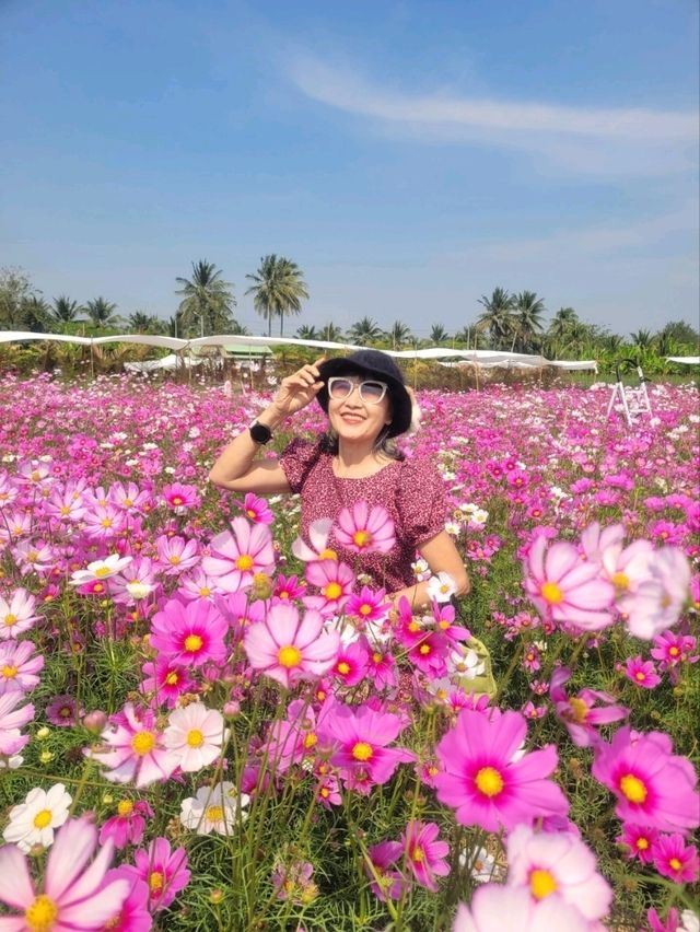 สวนดอกไม้ สมาภรณ์ การ์เด้น