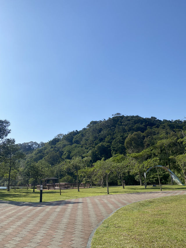 桃園 三坑自然生態公園 🏞️ 自然之景 山明水秀