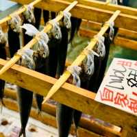 【寺泊魚市場朝市競標體驗】