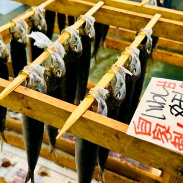 【寺泊魚市場朝市競標體驗】