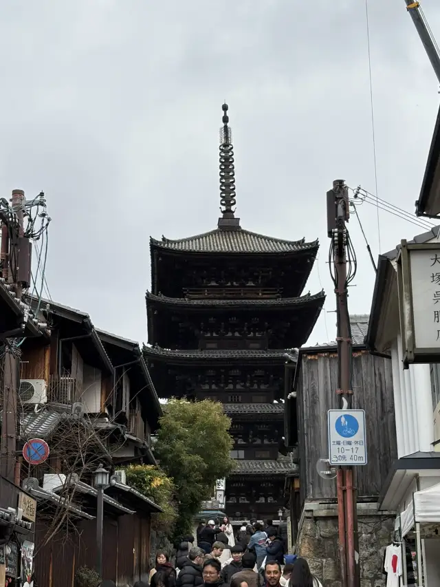 현실로 가기 싫었던 2박3일😫