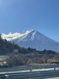 후지산 포토스팟, 죽음의숲 등 리뷰 🗻