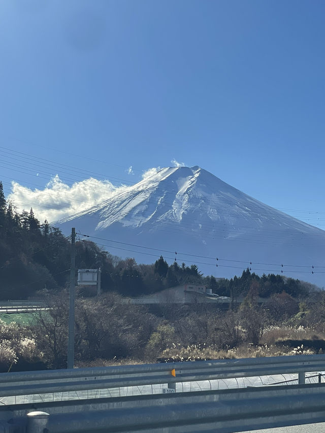 후지산 포토스팟, 죽음의숲 등 리뷰 🗻
