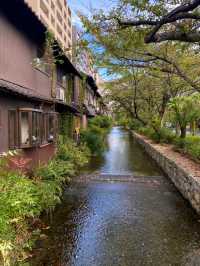 Kyoto: A Dream Fulfilled in Serenity and Celebration