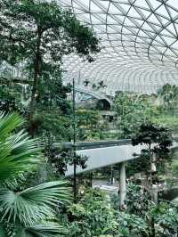“Jewel Changi: Nature Meets Architecture in a Green Paradise”