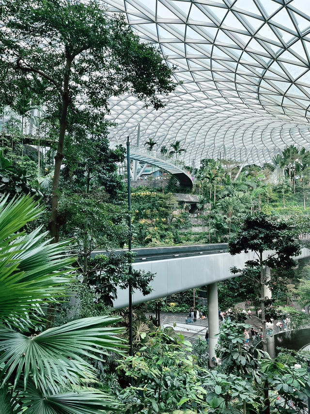 “Jewel Changi: Nature Meets Architecture in a Green Paradise”
