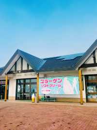 【北海道】屈斜路湖午餐：在日本最大的破火山口湖欣賞天鵝美態，品嘗鮮甜鱈場蟹