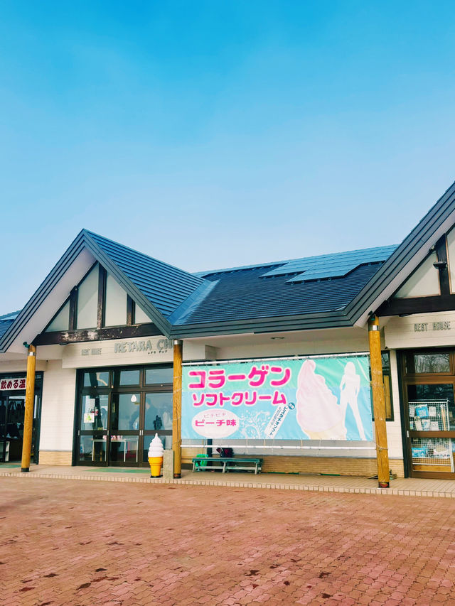【北海道】屈斜路湖午餐：在日本最大的破火山口湖欣賞天鵝美態，品嘗鮮甜鱈場蟹