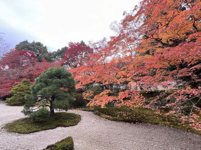 Much More Than A Temple — The Nanzenji-Temple of Kyoto