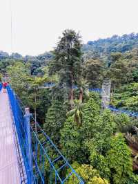 “Forest Skywalk Kepong: Walk Among the Treetops with Breathtaking Views”