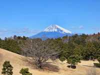 休閒玩樂之旅