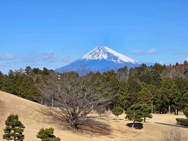 休閒玩樂之旅