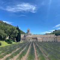 แนะนำจุดชมทุ่งลาเวนเดอร์ ใน Provence ฝรั่งเศส