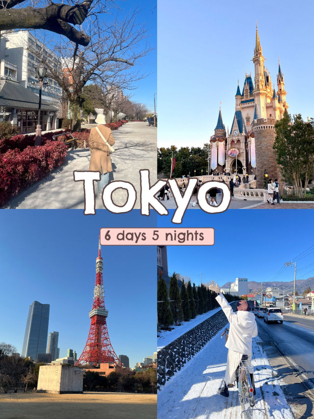 โตเกียว 6 วัน 5 คืน