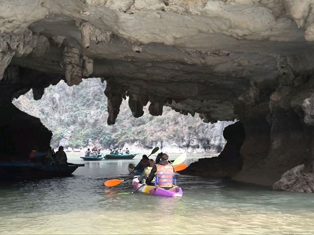 Ha Long Bay: Island Hopping & Cave Discoveries