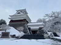 Winter Serenity at Matsushiro Castle