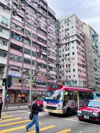 ［香港旅遊］通菜街🧺、花園街🌸、金魚街🐟-最具港風的市井街道🇭🇰體驗香港的人間煙火💯