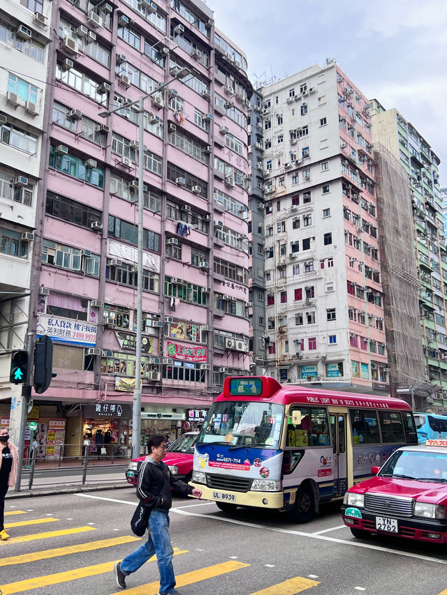 ［香港旅遊］通菜街🧺、花園街🌸、金魚街🐟-最具港風的市井街道🇭🇰體驗香港的人間煙火💯