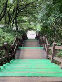 駱山公園的心靈漫步：一段難忘的旅程🌄