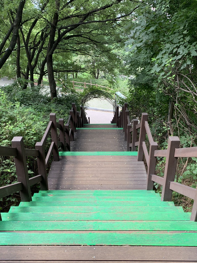 駱山公園的心靈漫步：一段難忘的旅程🌄