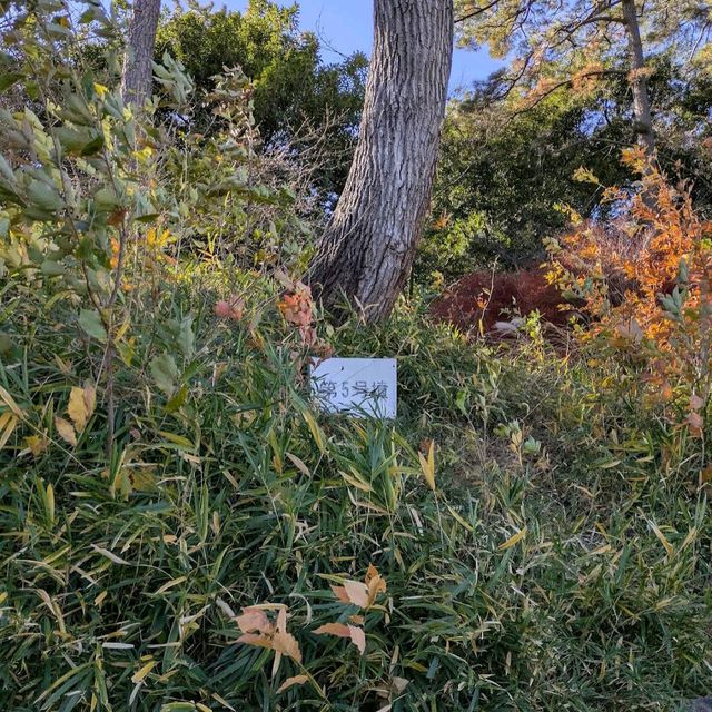 Tamagawadai Park (多摩川台公園)