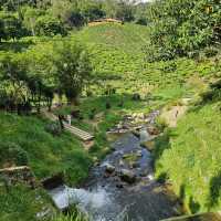 Beautiful Cameron Highlands 