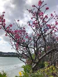 Manko Park (漫湖公園)