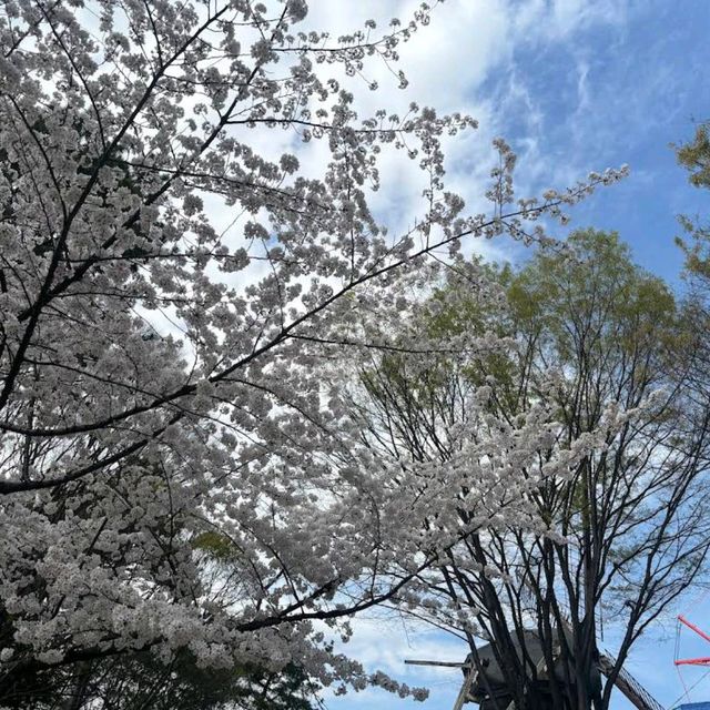 Meijo Park (名城公園)