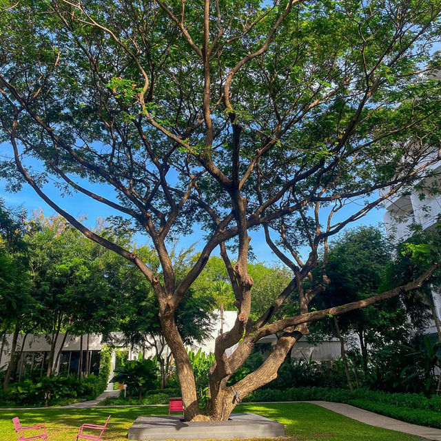 🌴 𝗧𝗵𝗲 𝗦𝘁𝗮𝗻𝗱𝗮𝗿𝗱 𝗛𝘂𝗮 𝗛𝗶𝗻 ⛱️  